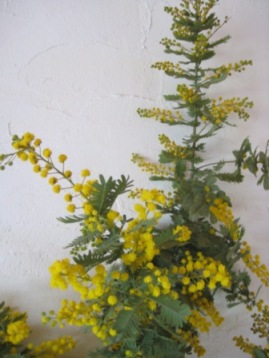c0121291_5181222.jpg