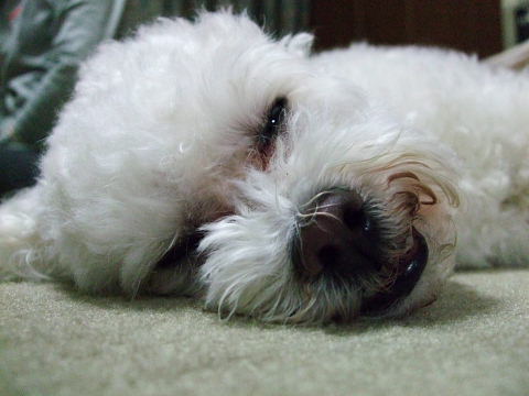 b0104592_165315.jpg