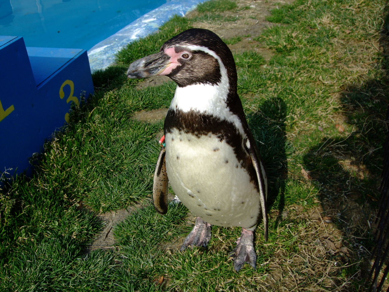 f0100593_19274479.jpg