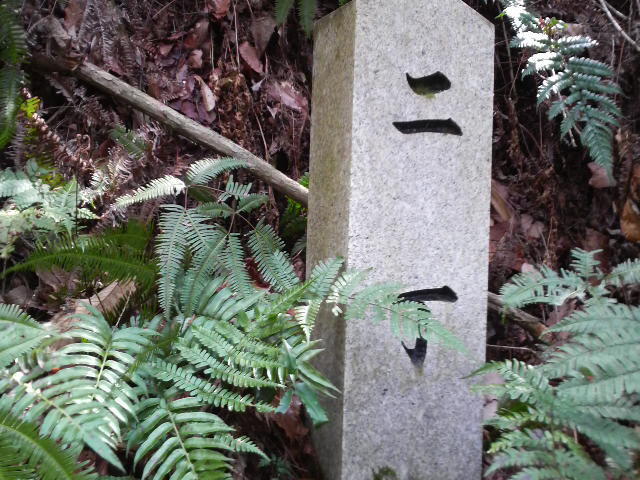 f0151094_025260.jpg