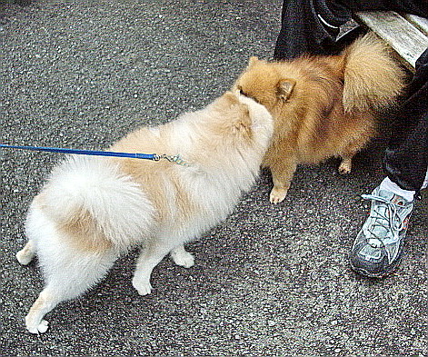 c0138198_1449311.jpg
