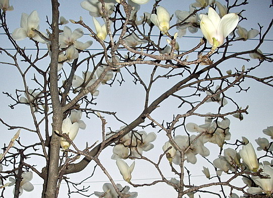 c0138198_1595799.jpg
