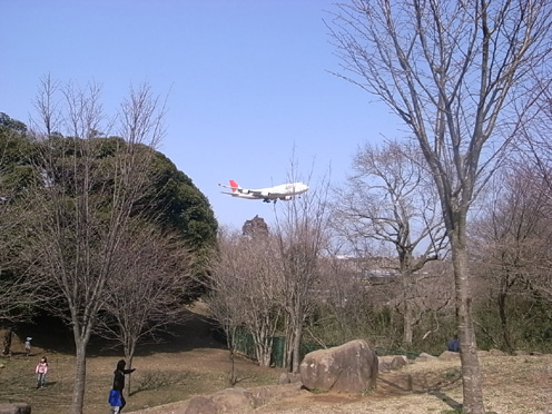e0043700_21151213.jpg