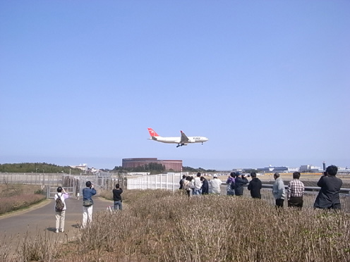 e0043700_21162997.jpg