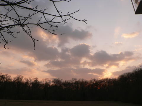a0056401_20285086.jpg