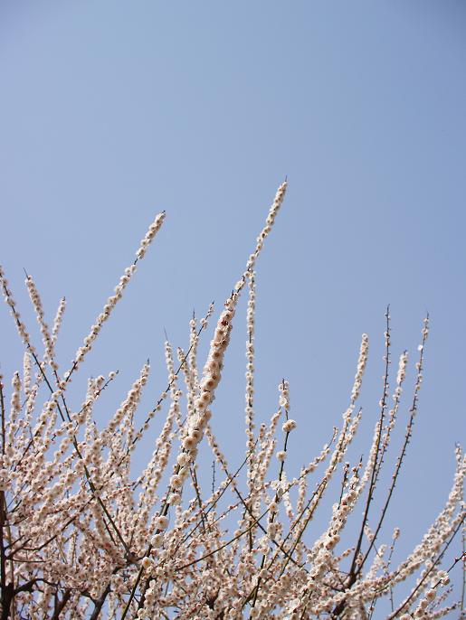 b0138101_23104924.jpg