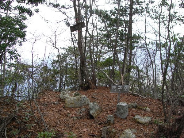 f0187402_21493533.jpg