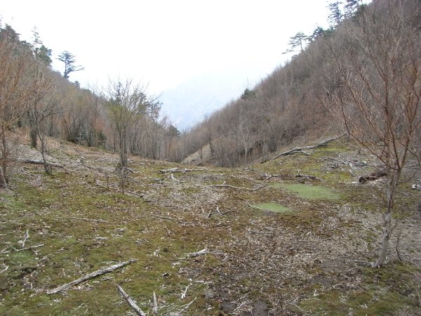 f0187402_214950100.jpg