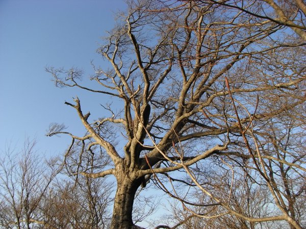 f0187402_21505462.jpg