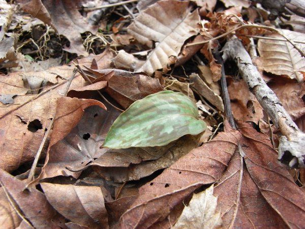 f0187402_2150747.jpg