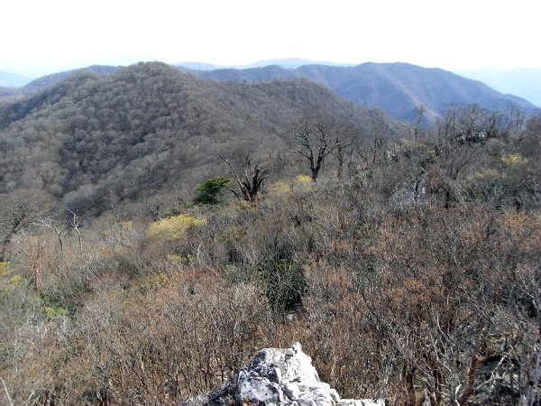 f0187402_21525495.jpg