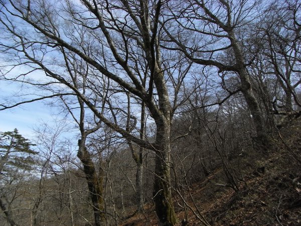 f0187402_2152965.jpg