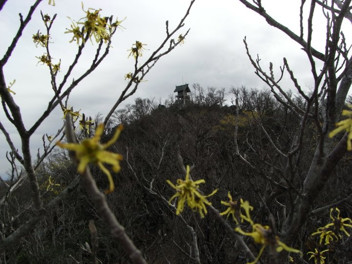 f0187402_2153743.jpg