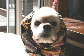 c0128303_1144922.jpg