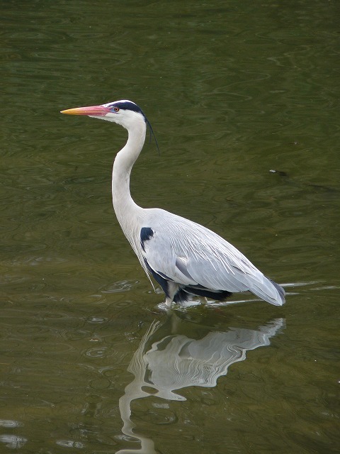 a0092804_23303384.jpg