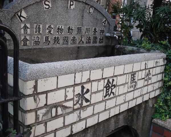 f0084806_11465518.jpg