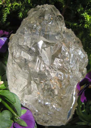 e0139012_2326840.jpg