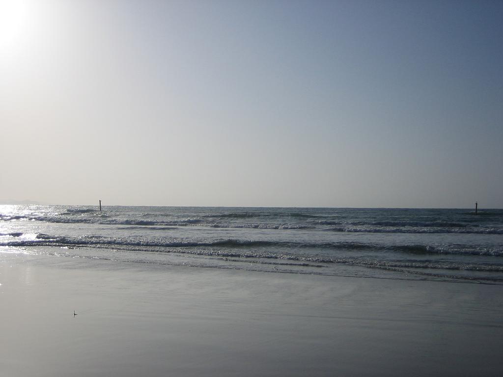 b0145616_2275996.jpg