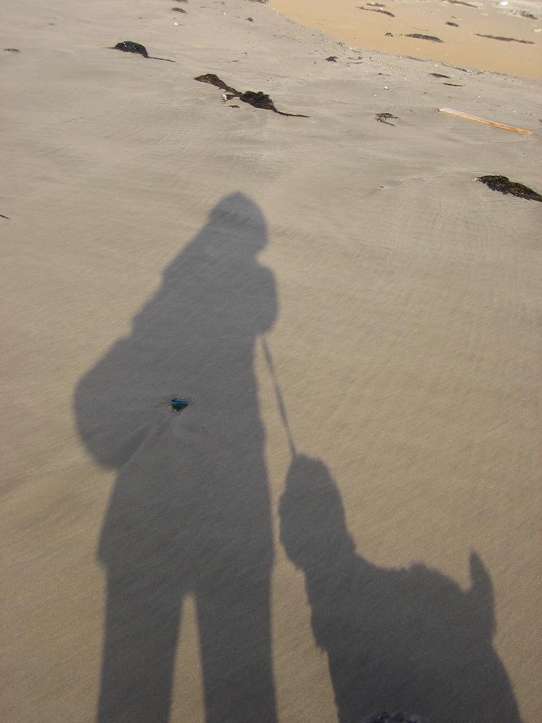b0145616_2283574.jpg