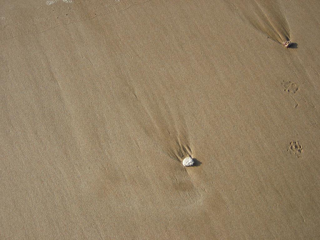 b0145616_246569.jpg