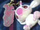 c0046316_0263282.jpg