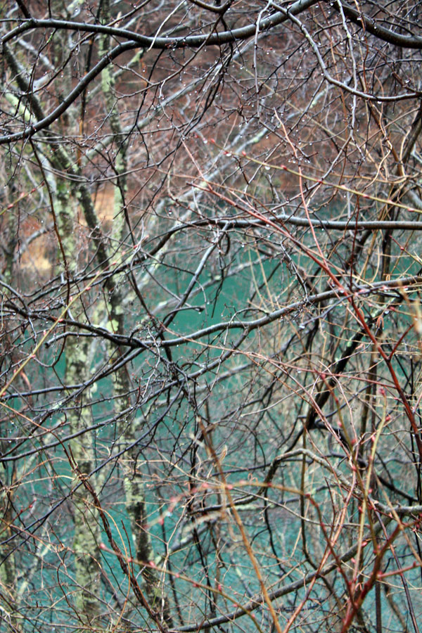 f0181018_2124599.jpg