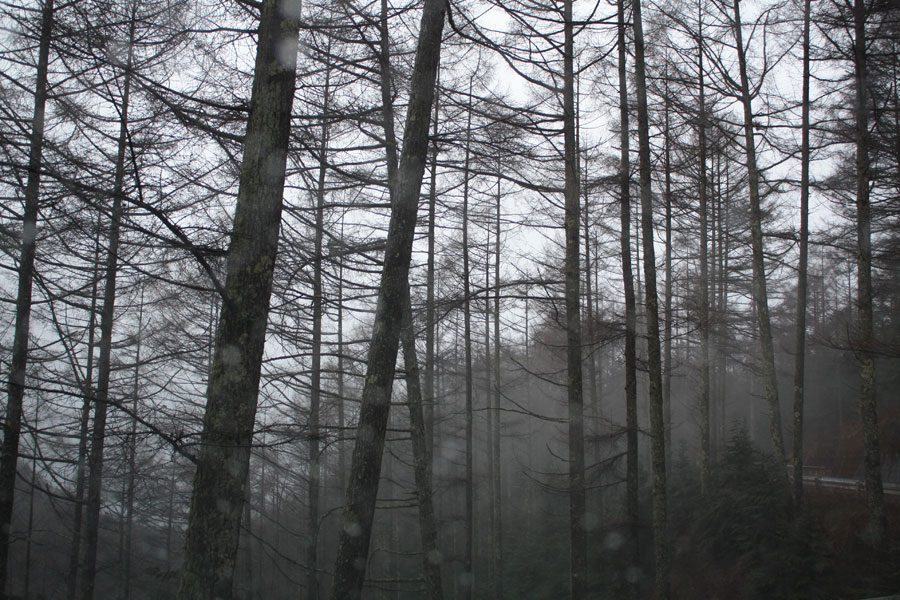 f0181018_21402261.jpg