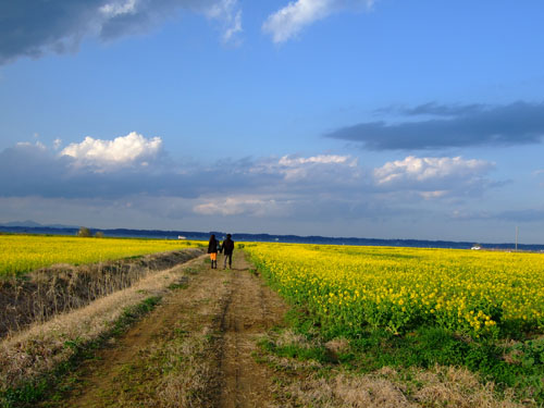 f0147025_0443750.jpg