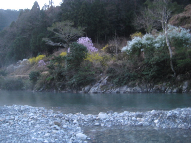 d0147727_19155757.jpg