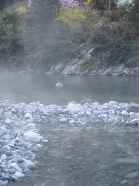 d0147727_1923314.jpg