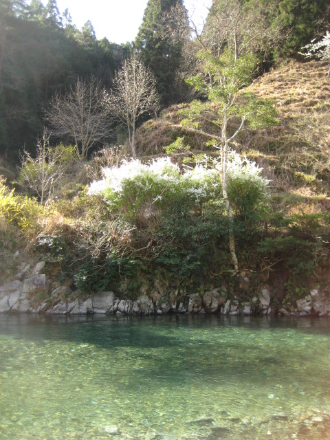 d0147727_19482281.jpg