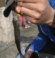 e0002927_036265.jpg