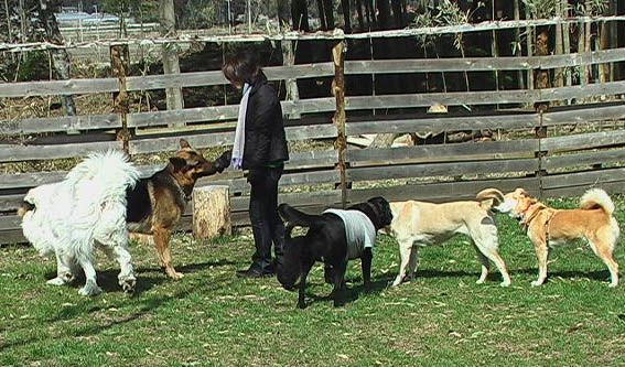 c0192930_13232666.jpg