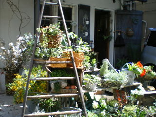 d0054930_16365221.jpg