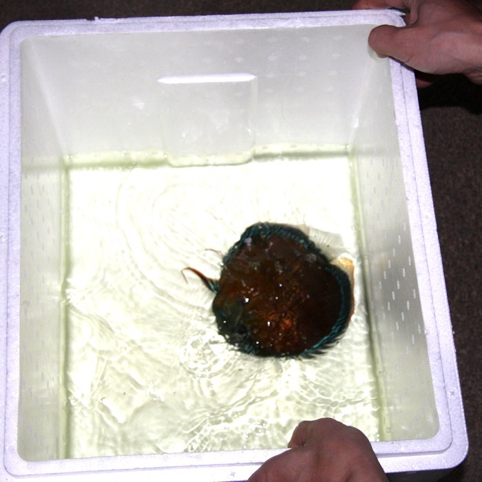 e0164530_2423458.jpg