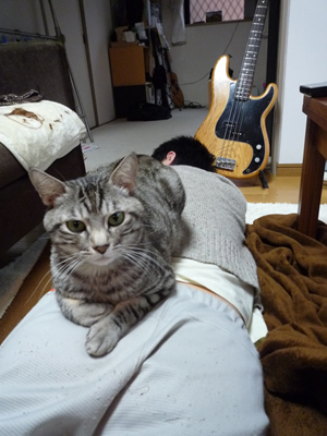 c0125532_2041122.jpg