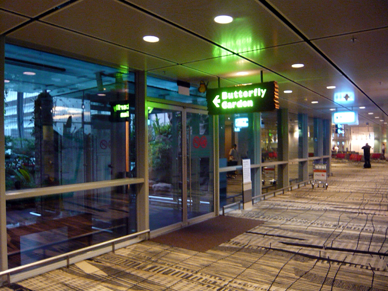b0032140_0375723.jpg