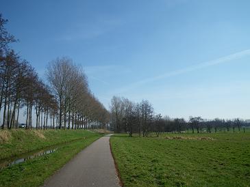 c0194240_745818.jpg