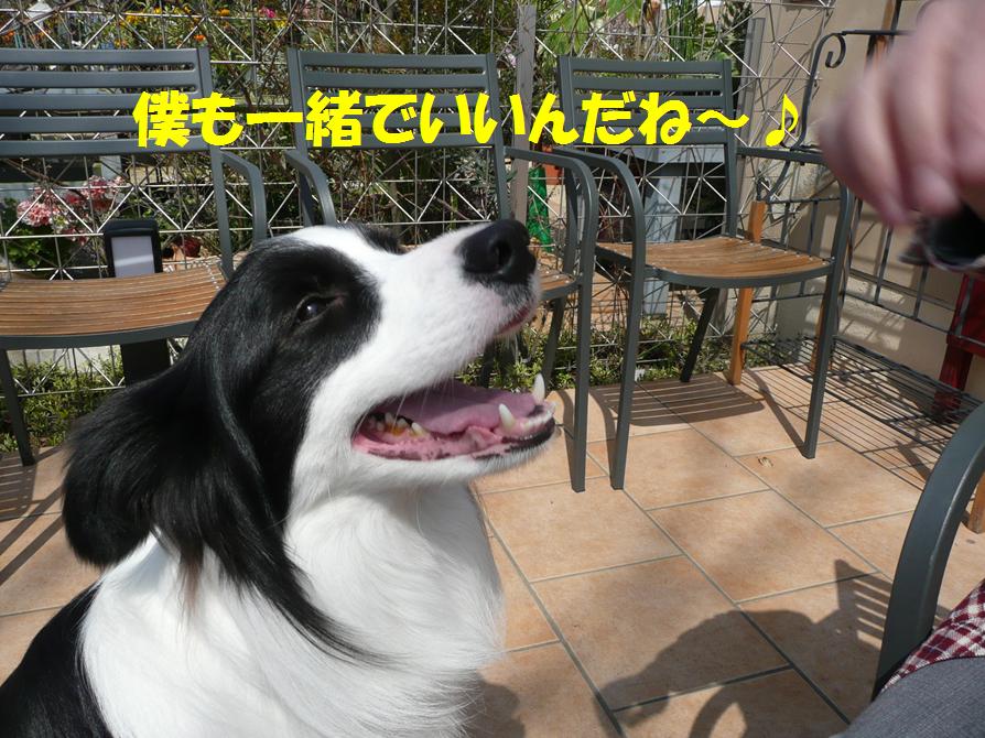 c0147241_11532644.jpg