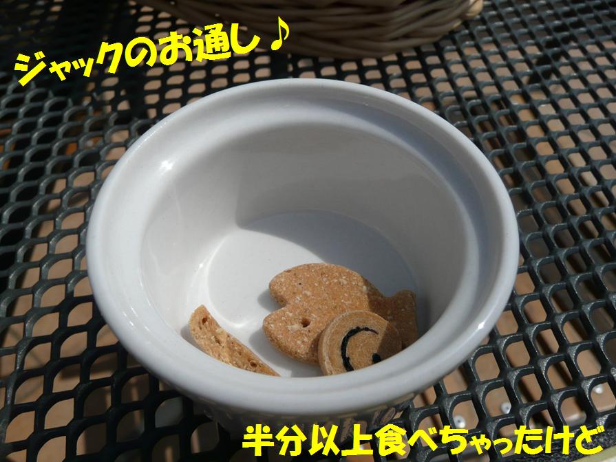 c0147241_11533491.jpg