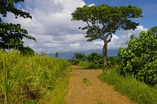 f0120141_9573942.jpg