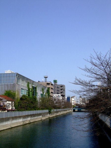 d0023346_945244.jpg