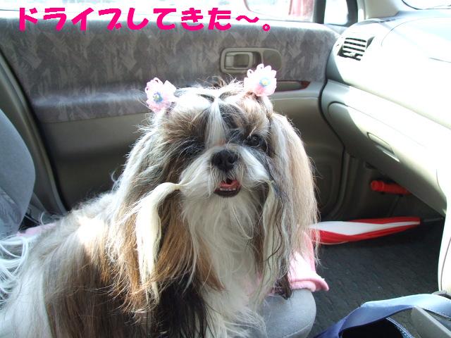 a0091448_1736233.jpg