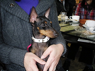c0123149_2317027.jpg