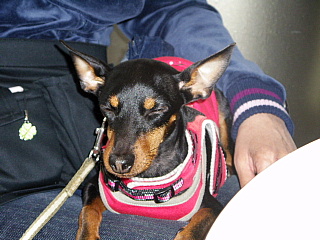 c0123149_23224924.jpg