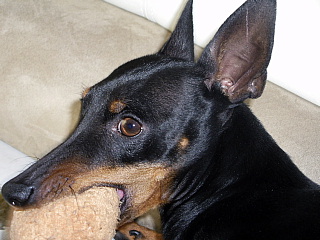 c0123149_23391656.jpg