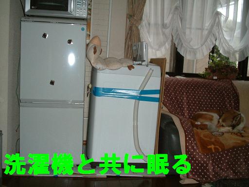 c0164353_15243696.jpg