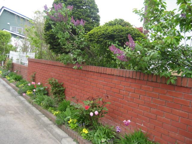 a0075455_9424387.jpg