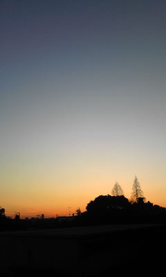 d0062061_14104490.jpg