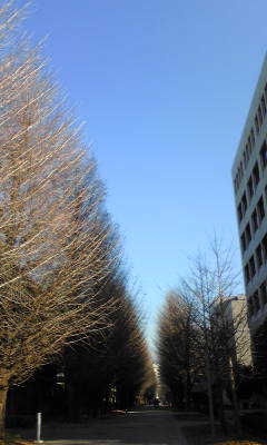 d0062061_1492351.jpg